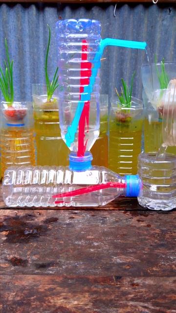 Look👍👍 смотреть онлайн