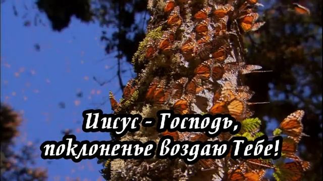 Ксения Лапицкая - Иисус Господь смотреть онлайн