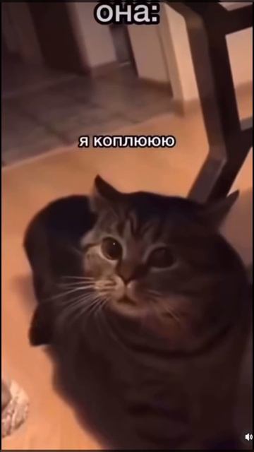 Копим на отпуск смотреть онлайн