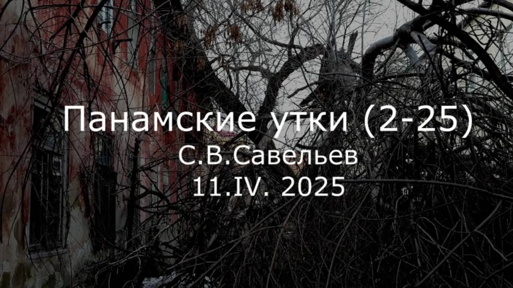 С.В. Савельев - Панамские утки смотреть онлайн