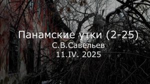 С.В. Савельев - Панамские утки