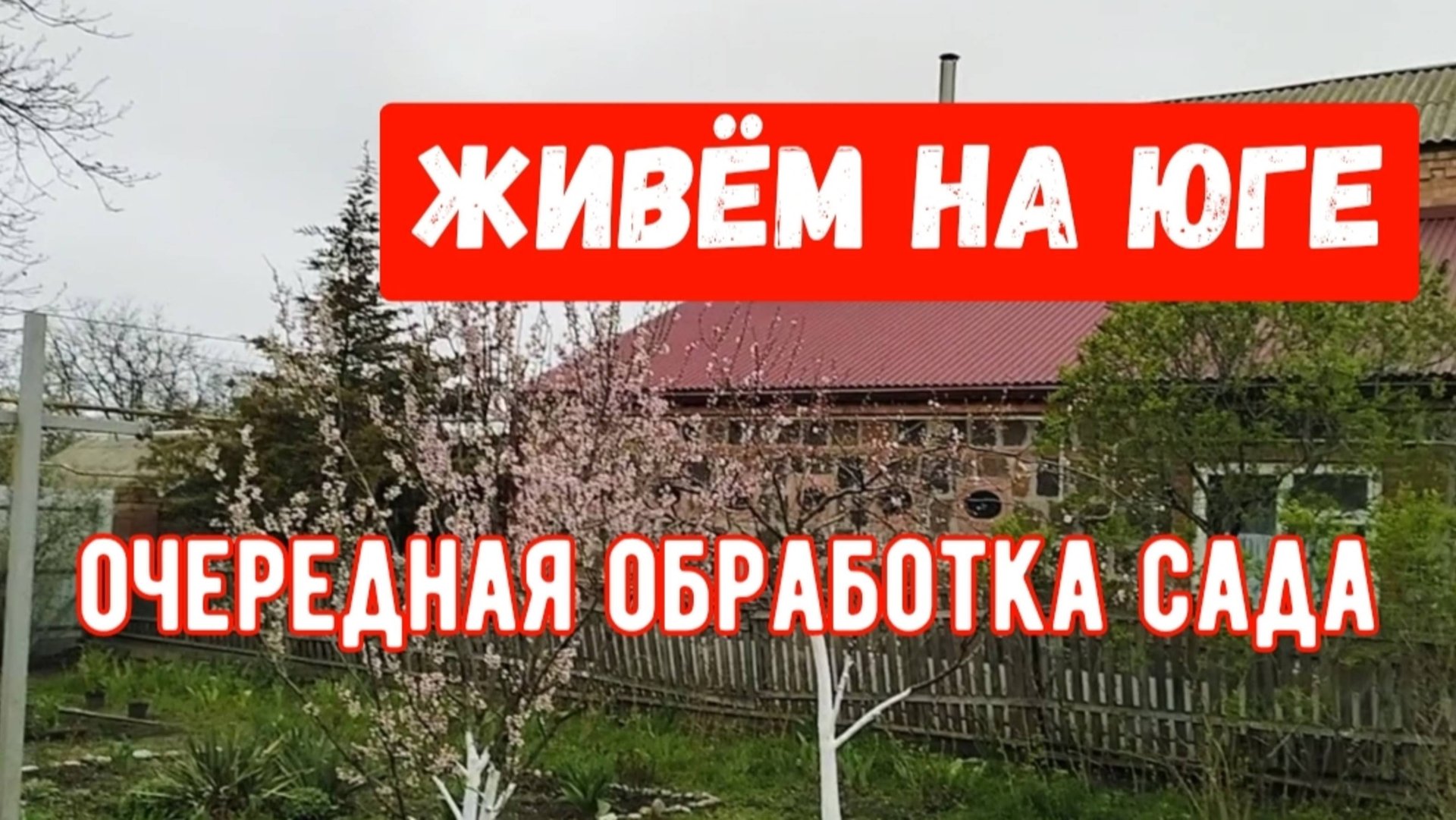 Пирожки с щавелем/Обработала хвойники /Сады цветут смотреть онлайн