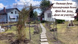 Уютная дача: Разговорчивая белка. Арка для  розы. Дела на участке.