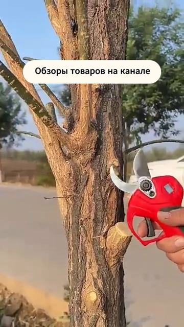 Обзор товаров на канале смотреть онлайн