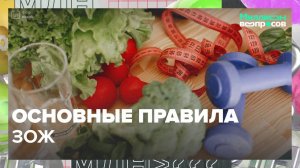 Основные правила ЗОЖ | Миллион вопросов — Москва 24 | Контент