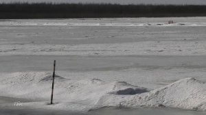 Голова ледохода на Оби находится в районе поселка Победа Шегарского района