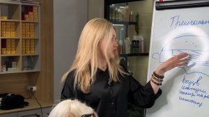 Видео. Треугольники