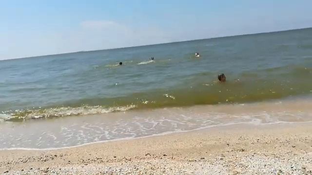 Архивное видео "Самое клосное место для отдыха у нас в Ейске" смотреть онлайн