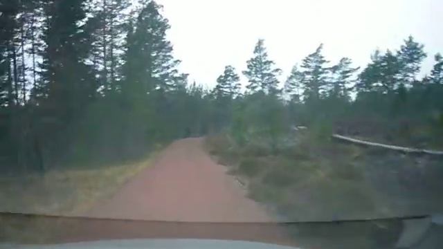 Wood in Aland Finland смотреть онлайн