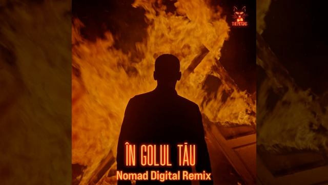 În Golul Tău (Nomad Digital Remix) смотреть онлайн