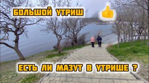 БОЛЬШОЙ УТРИШ! ЕСТЬ ЗДЕСЬ МАЗУТ? Будет ли Сезон. утриш