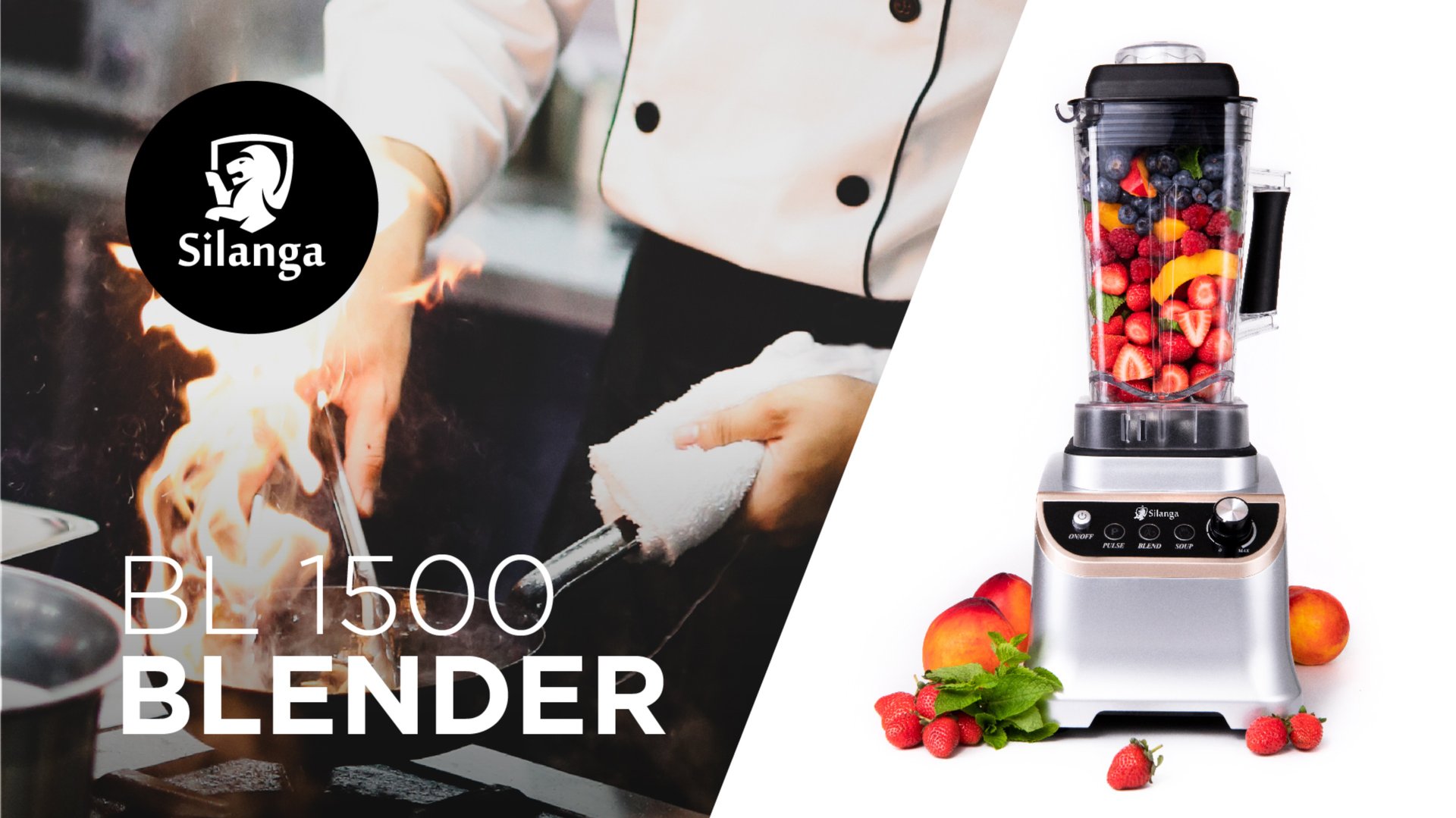 Обзор модели Silanga BL1500 PRO