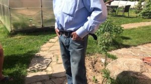 Как вырастить виноград в Подмосковье: просто, доступно