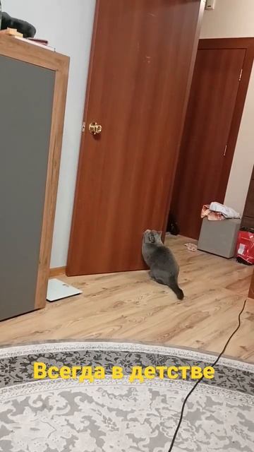 #кот Марвел смотреть онлайн