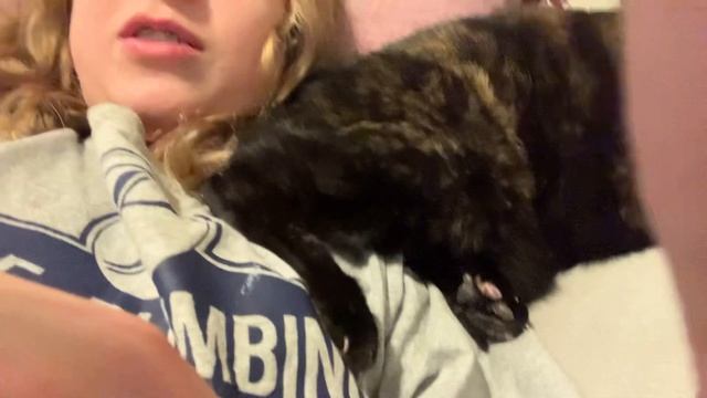 Butt juice kitty cat смотреть онлайн