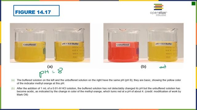Dr. Burton's Lecture on Chapter 14: Buffers the Basics смотреть онлайн