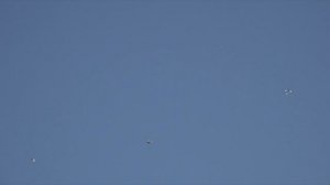 Старт голубей Аникина В.В.