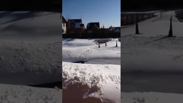 27 марта 2013 года смотреть онлайн