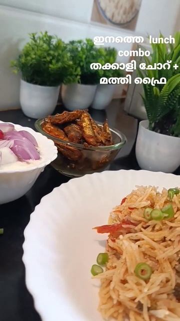To day lunch combo! Tomato rice 🍅🍅+ മത്തി(sardine fish) fry + salad😋 смотреть онлайн
