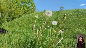 "Я продал тебя своему боссу", - заявил муж, придя с работы. Он плакал, но у него не было выбора