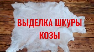Выделка шкуры козы в домашних условиях