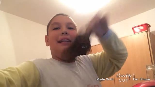How To A Reverse Video