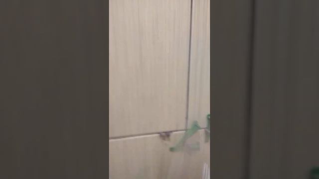 СвП 300 штук!!!Аж рука заболела!!! смотреть онлайн