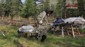 "Северный ветер бывает теплым"

реж. Алексей Головков