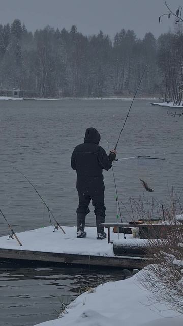 Поимка форели смотреть онлайн