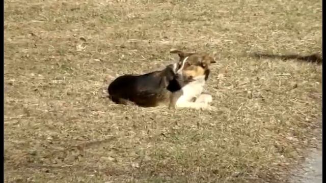 Припять смотреть онлайн