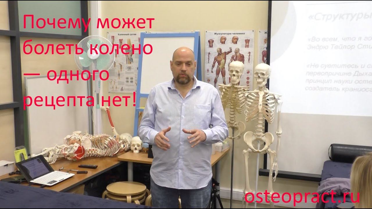 Почему может болеть колено — одного рецепта для всех нет! Обзор протоколов с базового семинара.