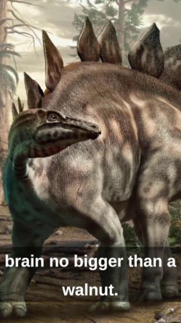 3 Dinosaur Facts You DIDN'T Know смотреть онлайн