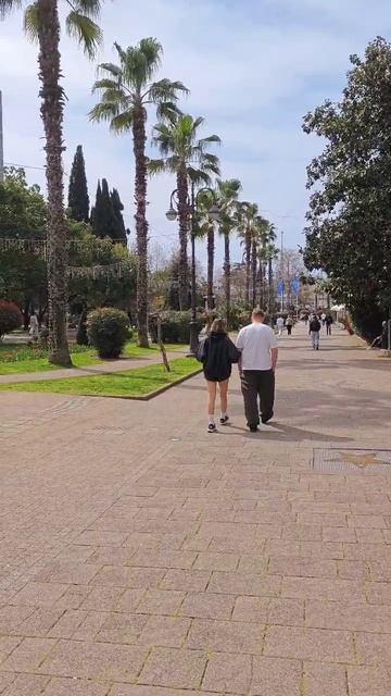 навагинская улица Сочи и краСочная магнолия смотреть онлайн