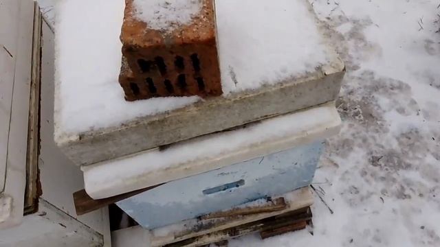 Опасно для ваших пчел. Такую не правильную зимнюю вентиляцию советую не применять.Применяю впервые. смотреть онлайн