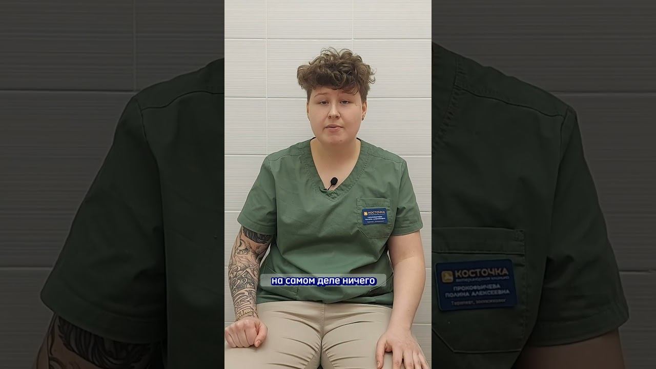 Мифы о кастрации смотреть онлайн