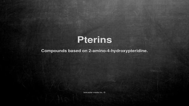 Medical vocabulary: What does Pterins mean смотреть онлайн