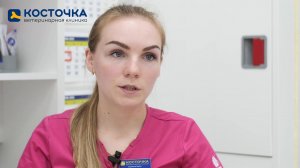 Почему у кошки или собаки в кале кровь?