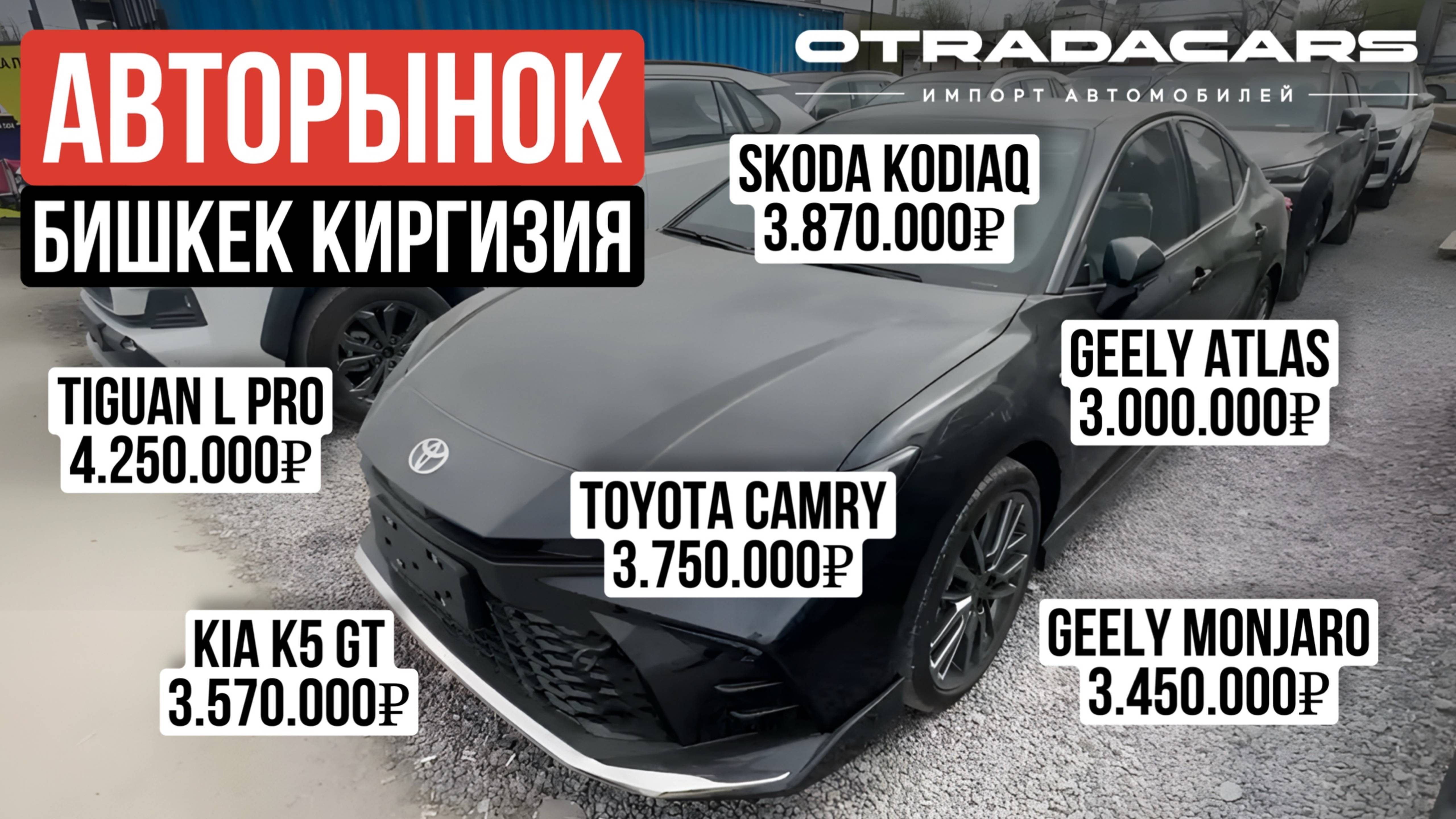 ЦЕНЫ НА Camry, RAV4, Monjaro, Kodiaq, Geely Atlas, Kia K5, Tiguan L PRO смотреть онлайн