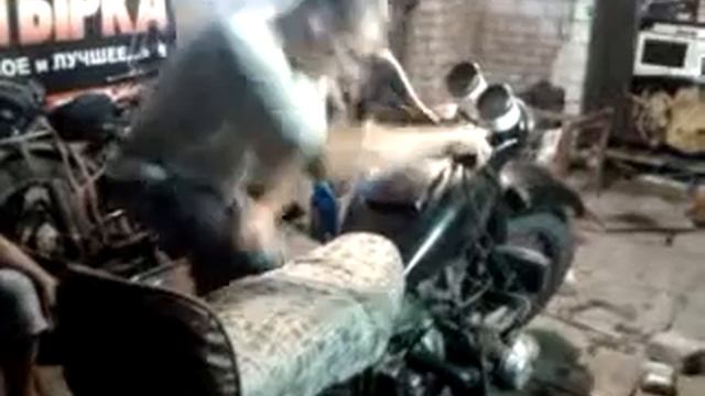 огненный мотык смотреть онлайн