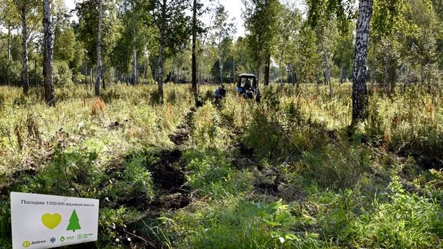 Агроуход. Новосибирская область. Коченевский район. 28.08.2020INSTA смотреть онлайн