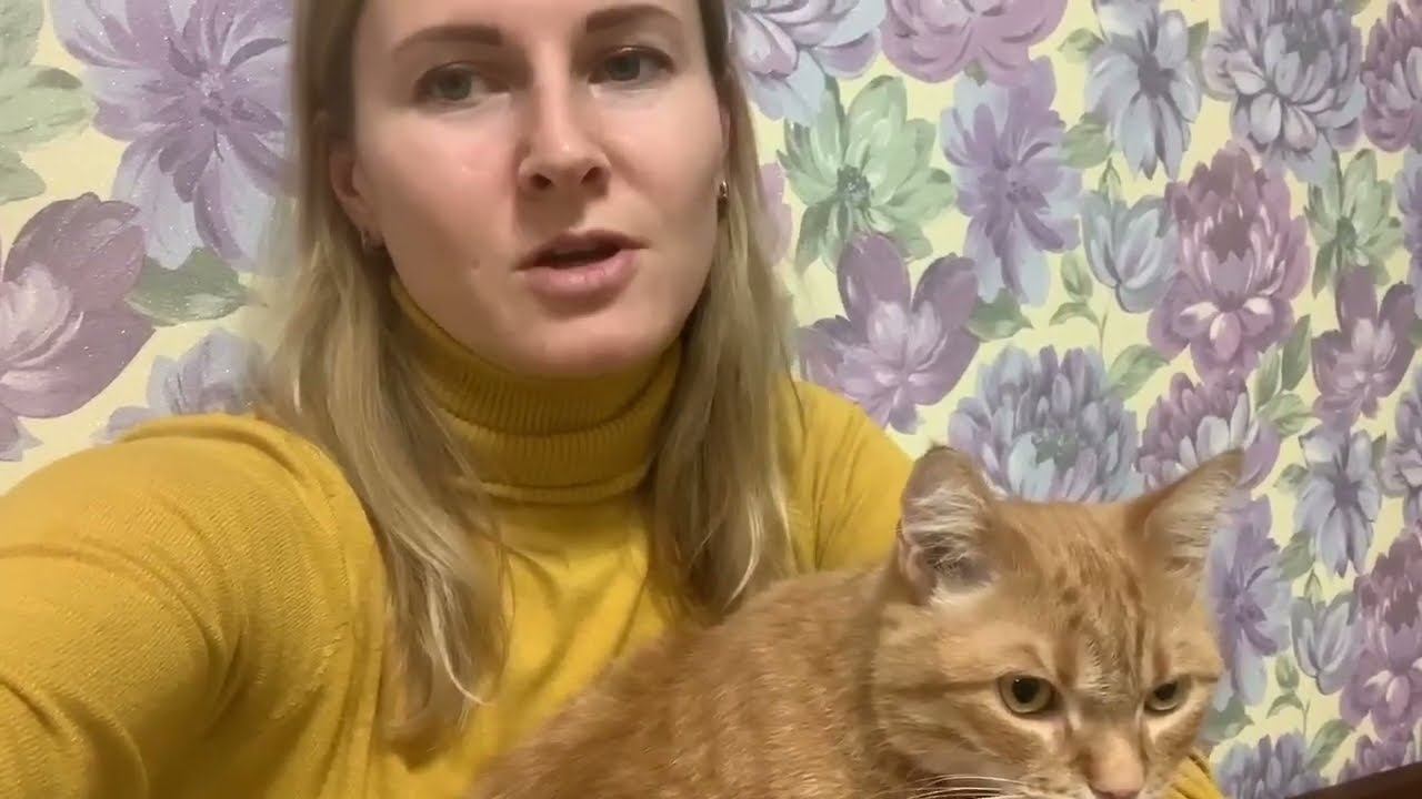 Отзыв. Просто хорошая клиника смотреть онлайн