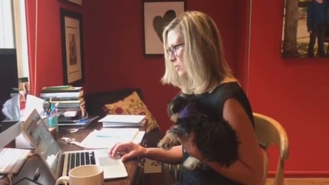 Cats, dogs, Quillie the hedgehog source of comfort in crisis смотреть онлайн