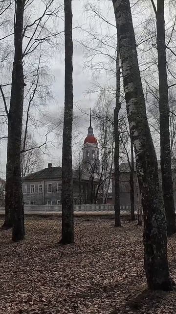 Всем с добрым утром и хорошего дня.. (г. Тотьма) смотреть онлайн