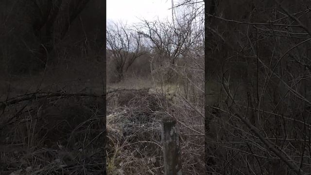 Дача смотреть онлайн