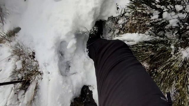 Retours et avis Decathlon Quechua SH920 X Warm sur un an d'utilisation смотреть онлайн