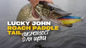 Уловистый Силикон на Щуку Виброхвост Lucky John Roach Paddle Tail 5 Обзор Оснащение и Применение