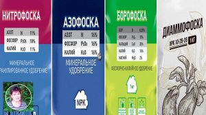 Азофоска Нитрофоска Диаммофоска Борофоска что за удобрения и чем отличаются