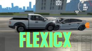 FlexicX