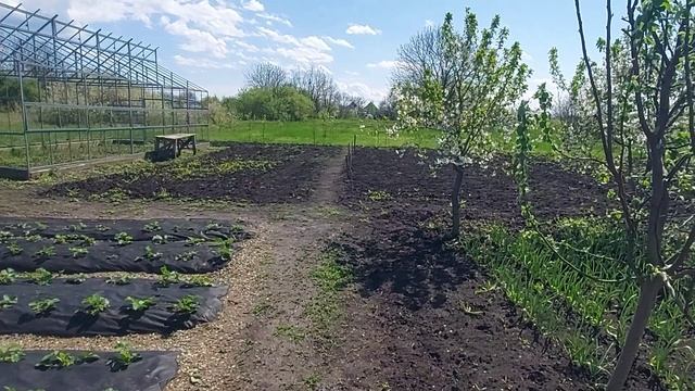 Добро пожаловать на мой канал смотреть онлайн