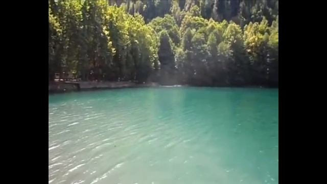 Абхазия. Озеро Рица. Республика Абхазия. Гудаутский район. Отдых в Абхазии. Горное озеро Рица.